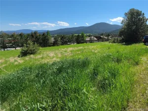 31720 Rocky Village Drive Evergreen CO 80439 | MLS #REC6440975 06102026164628 300 0