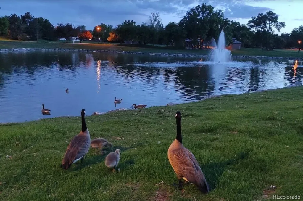 7496 W Cedar Circle Lakewood CO 80226 | MLS #REC6447494 08242026180002 1024 29