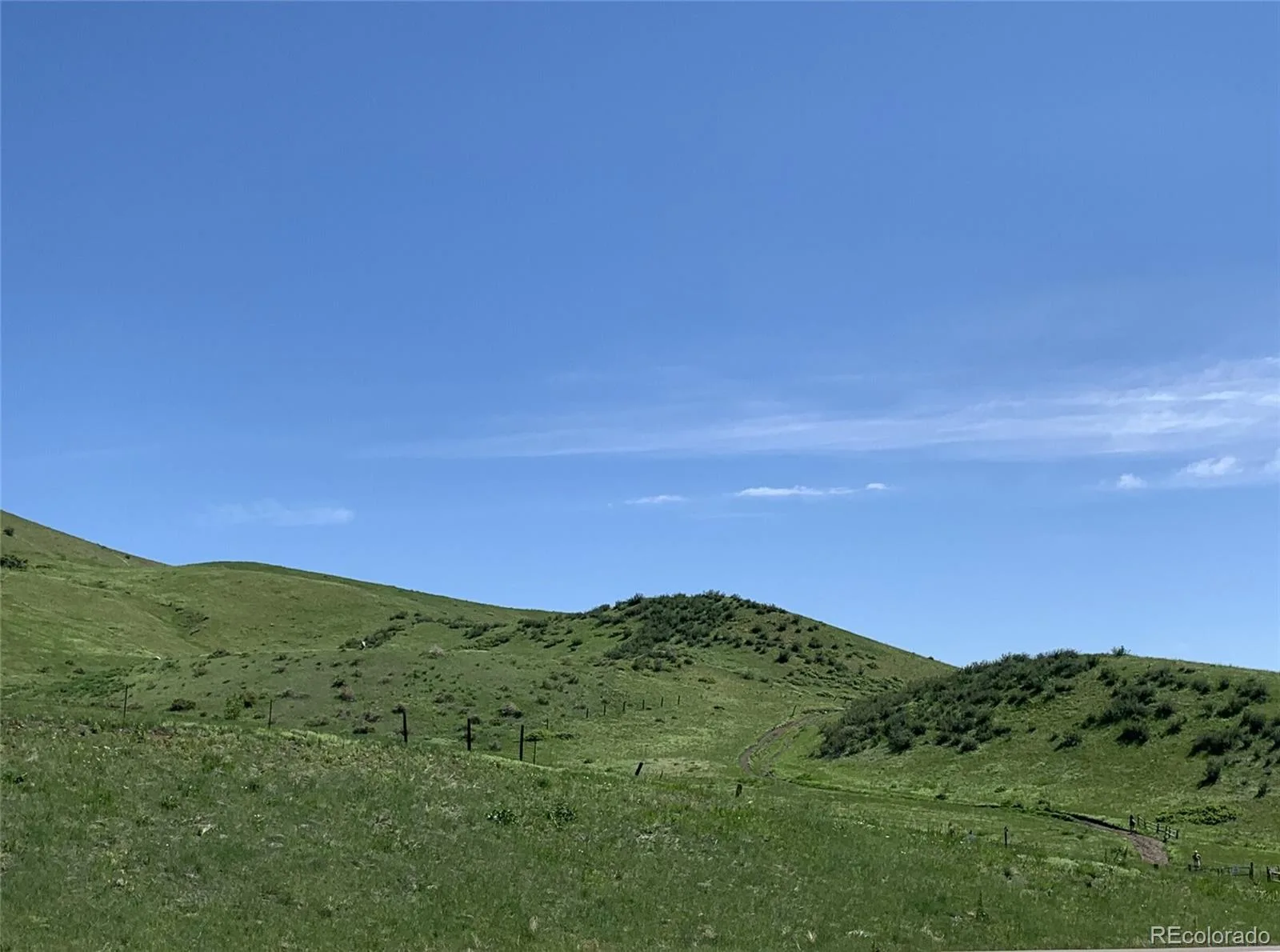11707 W Jewell Drive Lakewood CO 80228 MLS #REC6452499 07092026182400 1600 36