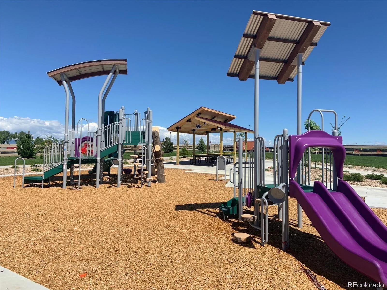 17928 Galapagos Street Broomfield CO 80023 | MLS #REC6454996 07272026162803 1600 46