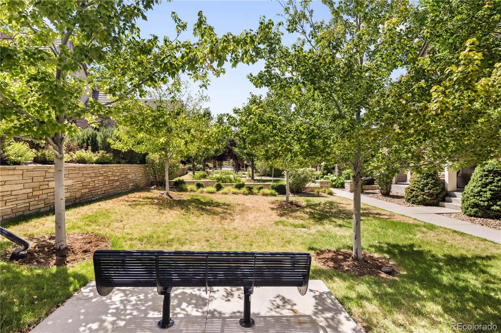 10358 Bluffmont Drive Lone Tree CO 80124 | MLS #REC6457807 08062026205202 1600 39