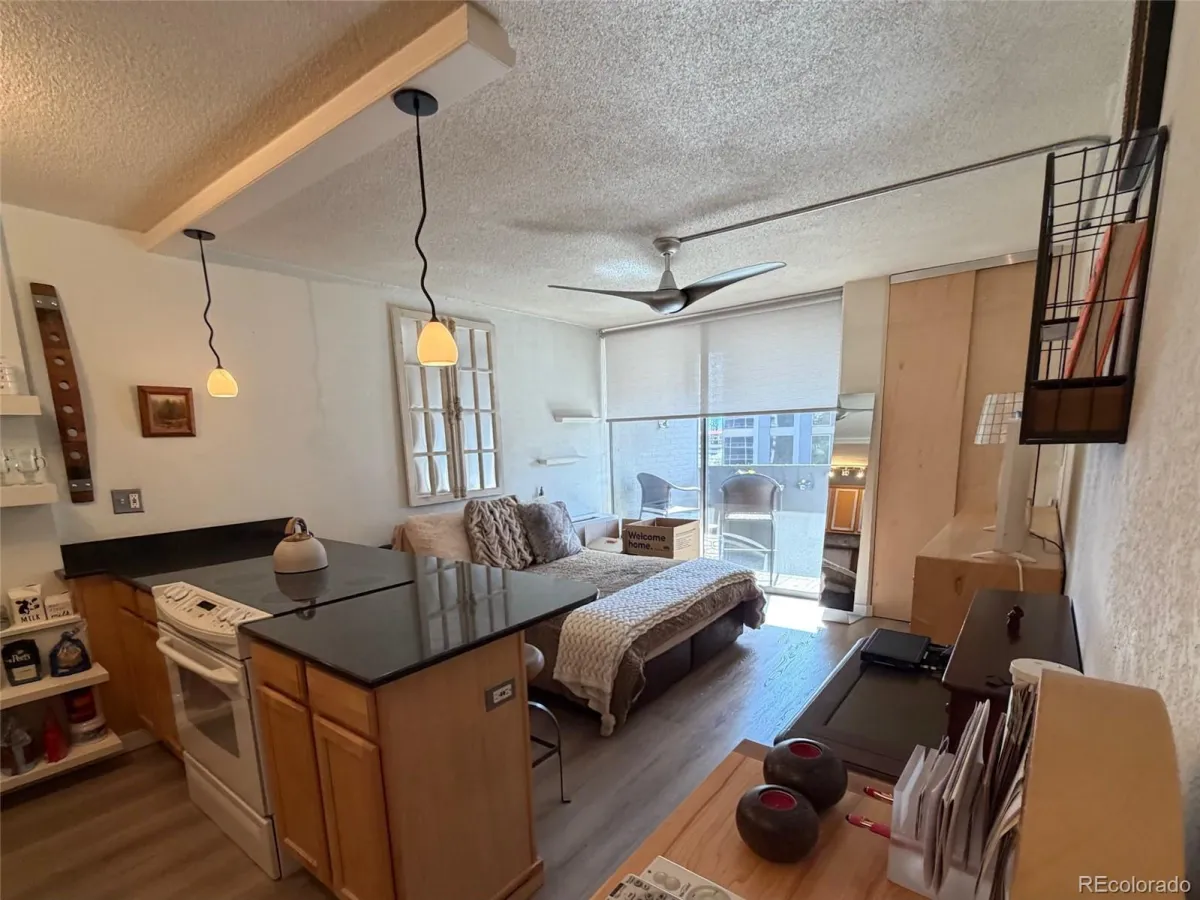 909 N Logan Street #6D Denver CO 80203 MLS #REC6459678 04282026163324 1200 0