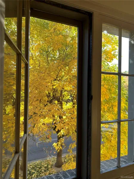 03202026221446 800 22