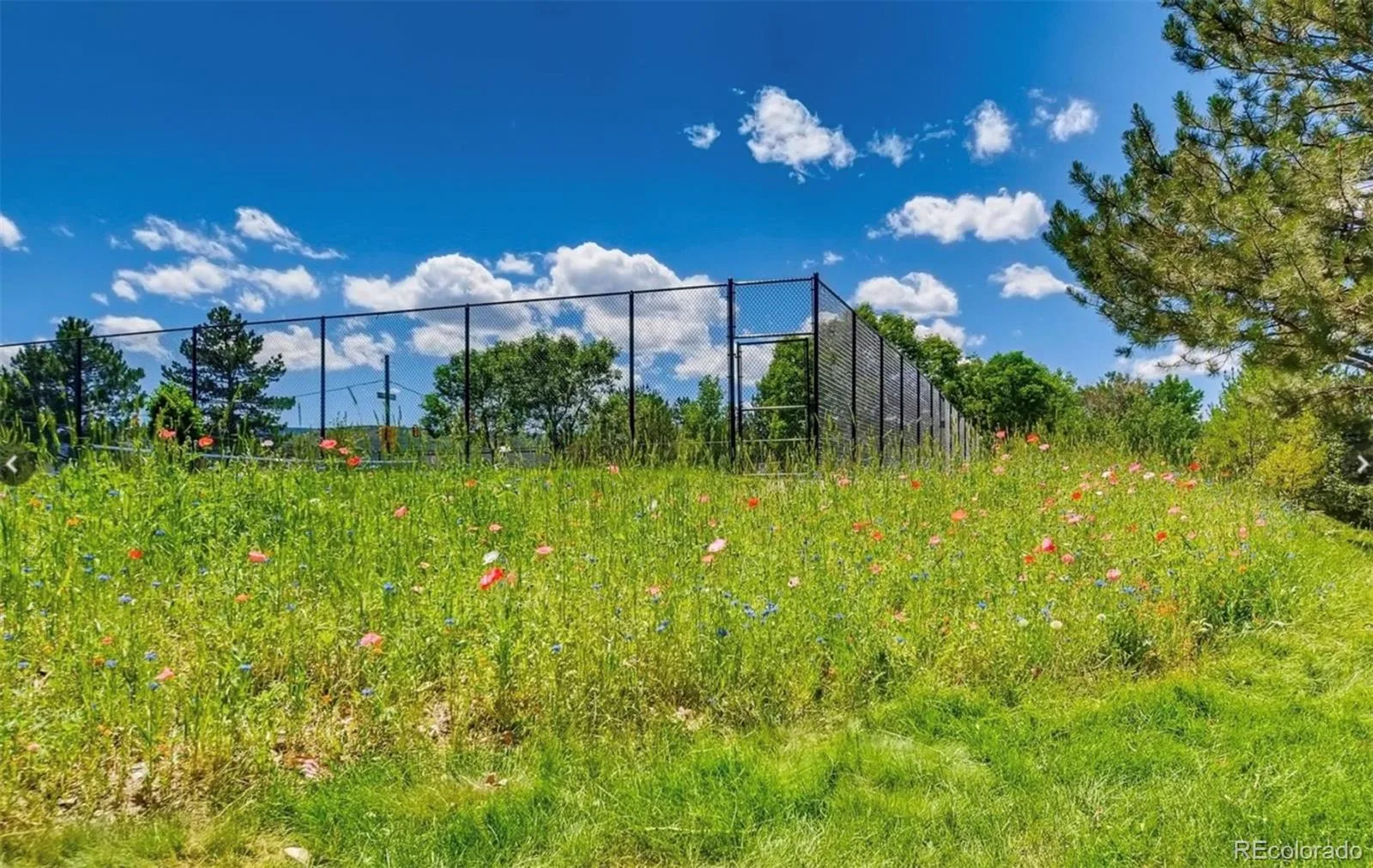 9691 W Chatfield Avenue #C Littleton CO 80128 | MLS #REC6461517 08012026231502 1600 35