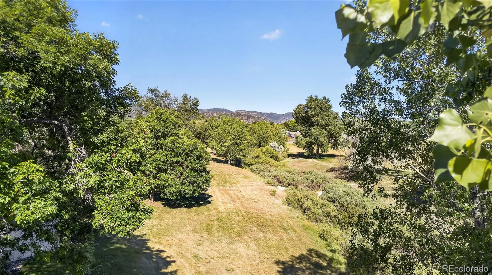 9691 W Chatfield Avenue #C Littleton CO 80128 | MLS #REC6461517 08012026231502 1600 7