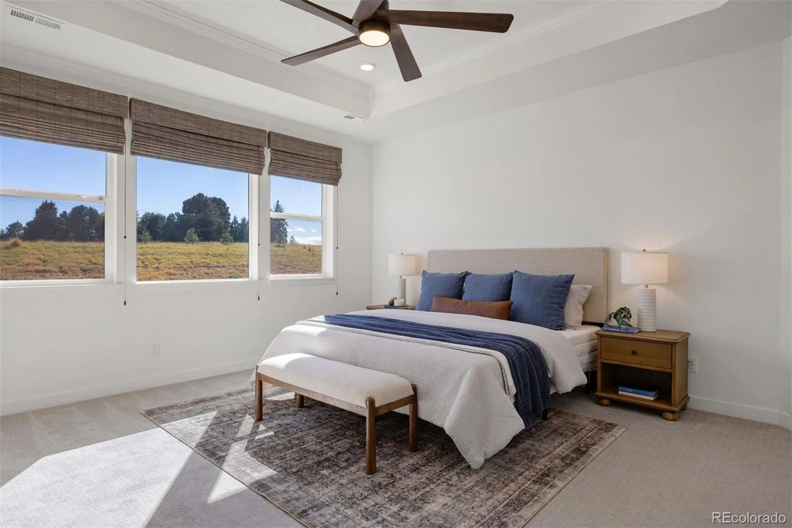 22580 E Rockinghorse Parkway Aurora CO 80016 | MLS #REC6463579 10162026222733 1600 14