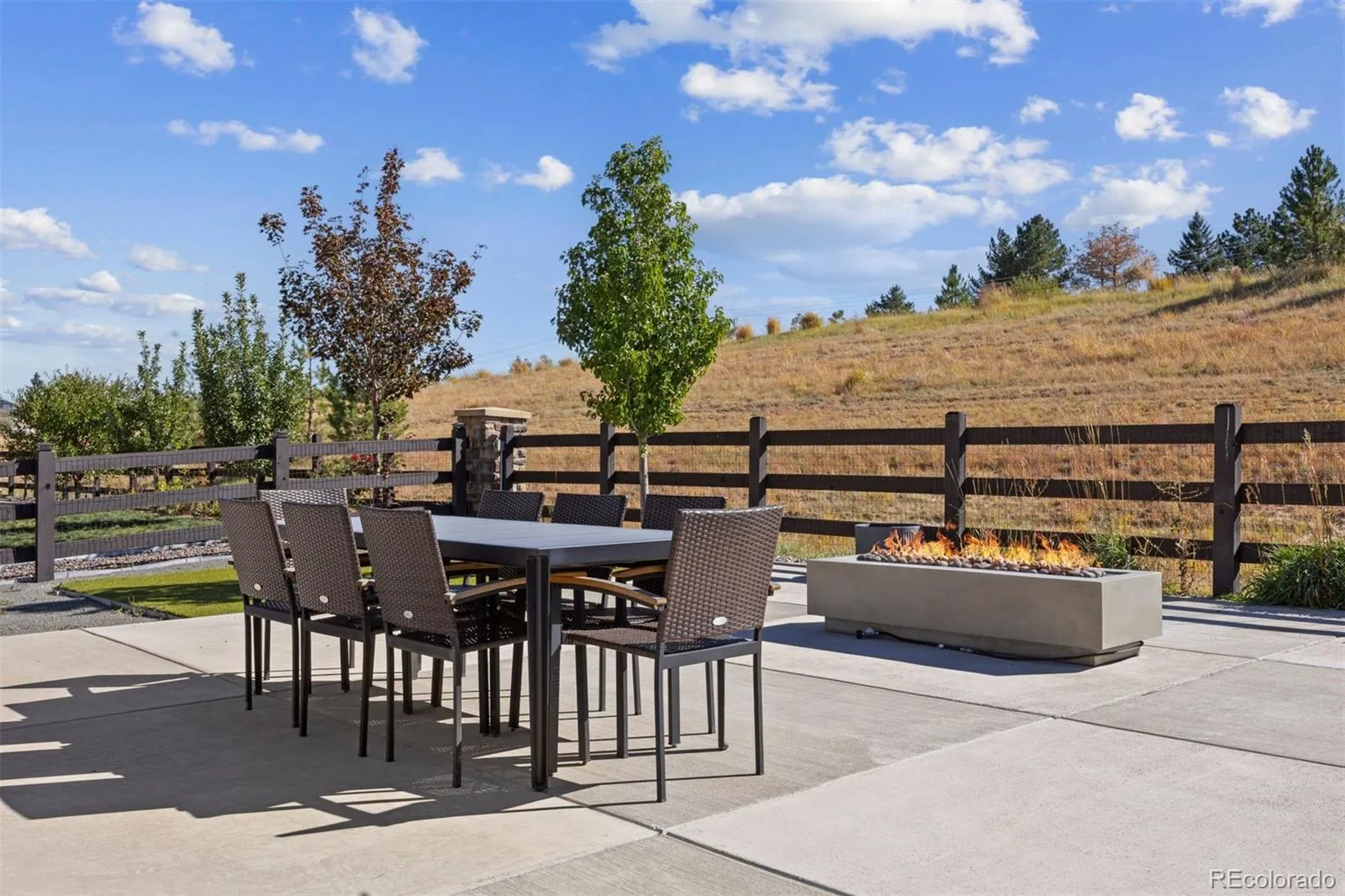 22580 E Rockinghorse Parkway Aurora CO 80016 | MLS #REC6463579 10162026222733 1600 25