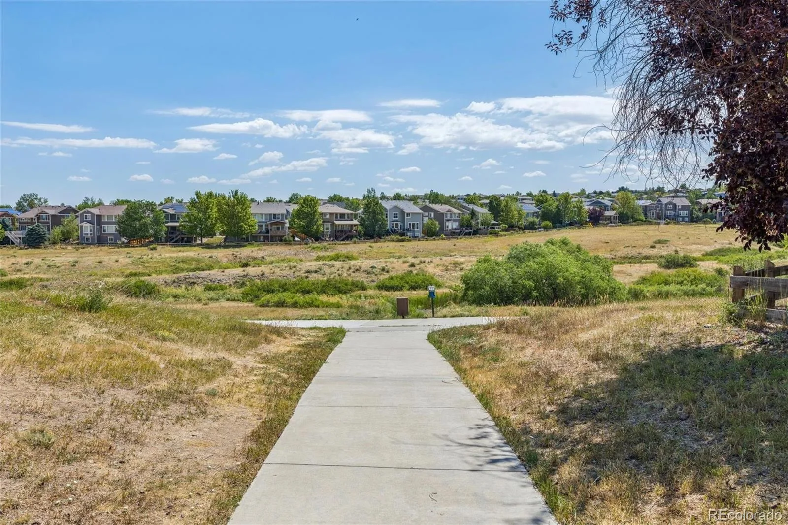 10314 Tracewood Drive Littleton CO 80130 | MLS #REC6478652 07292026185458 1600 32