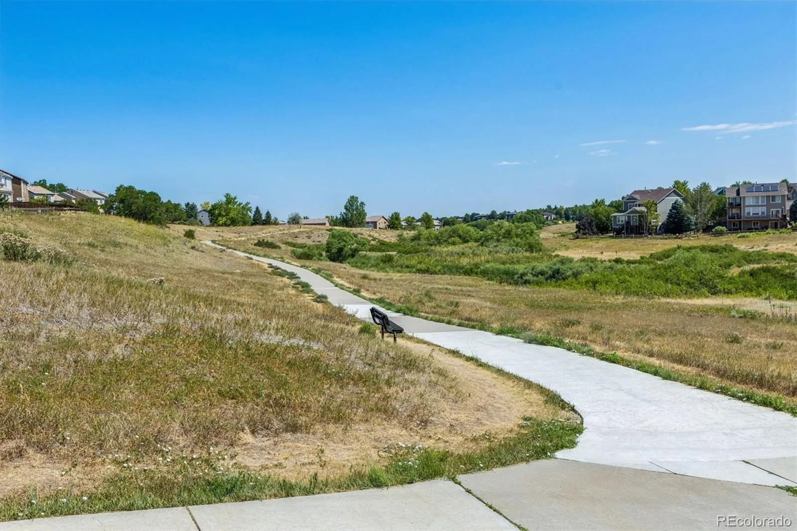 10314 Tracewood Drive Littleton CO 80130 | MLS #REC6478652 07292026185458 1600 33