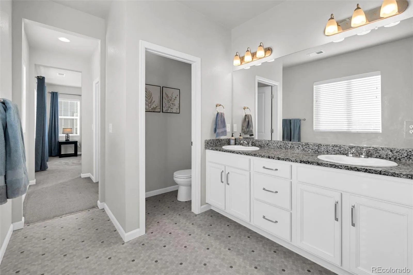 1172 Basalt Ridge Loop Castle Rock CO 80108 | MLS #REC6483046 08242026182933 1600 26