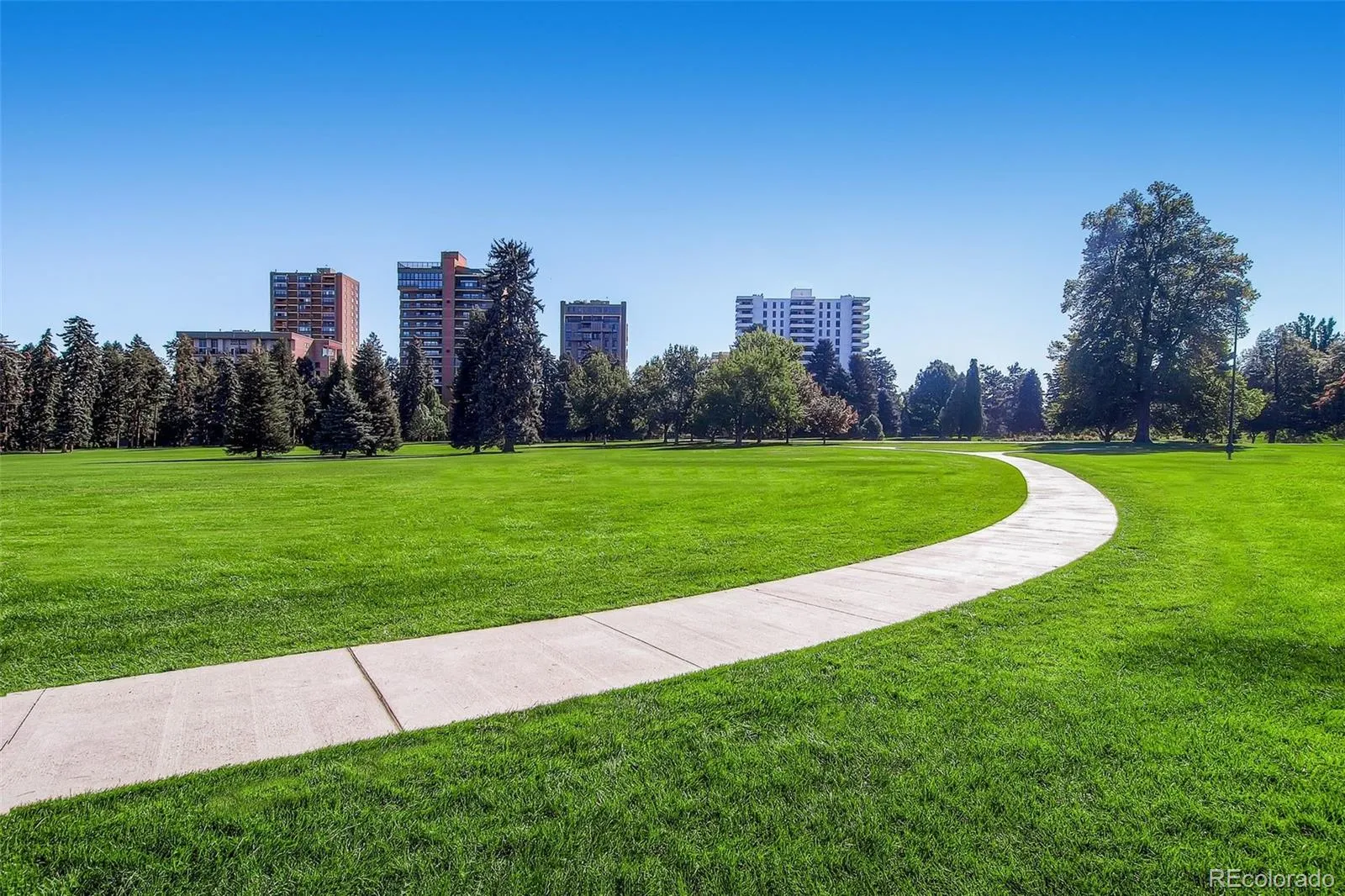 1265 Race Street #506 Denver CO 80206 MLS #REC6484478 05262026211111 1600 23