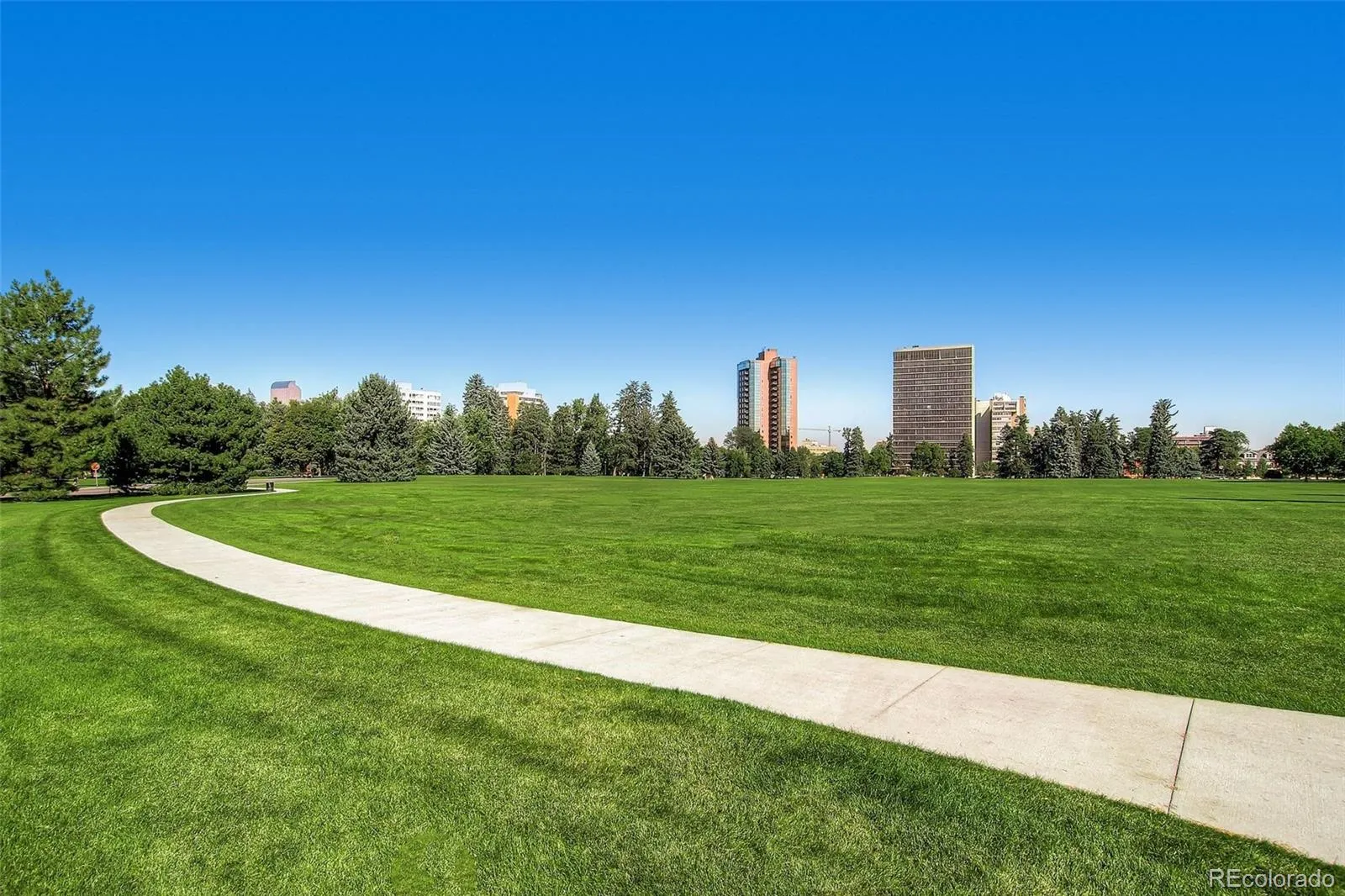 1265 Race Street #506 Denver CO 80206 MLS #REC6484478 05262026211111 1600 24