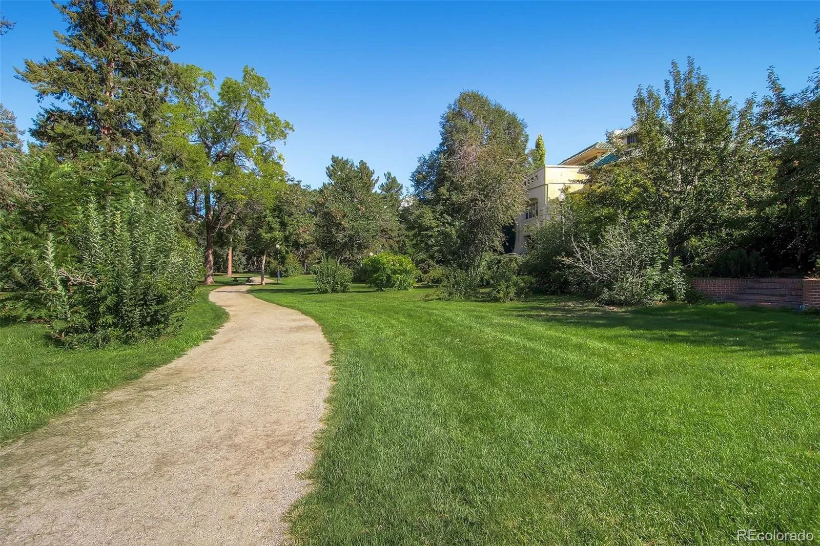 1265 Race Street #506 Denver CO 80206 MLS #REC6484478 05262026211111 1600 25