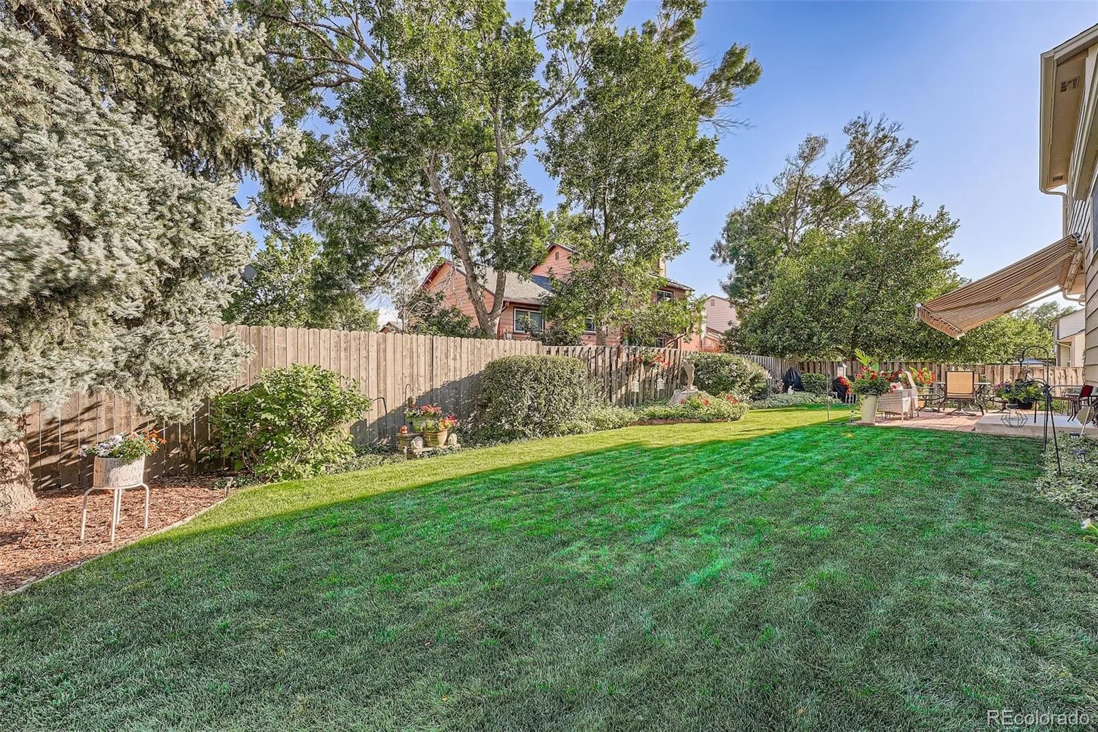 4580 Argonne Street Denver CO 80249 | MLS #REC6488862 06092026043247 1600 26