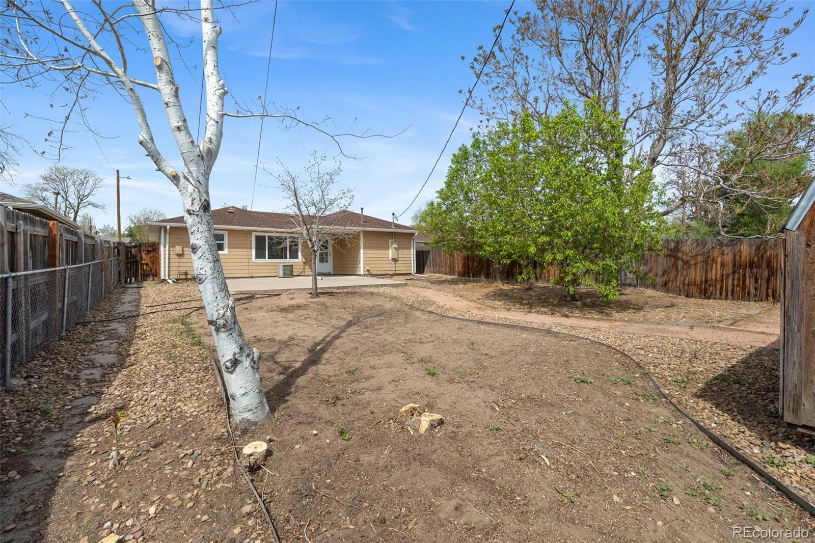 04162026212117 1600 21