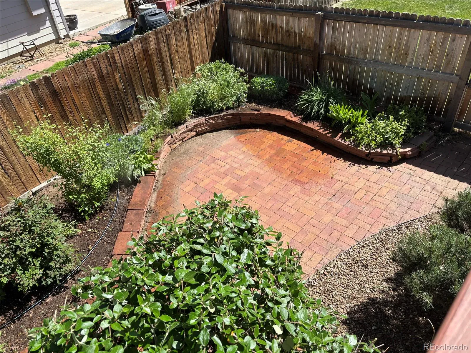 03092026165622 1600 24