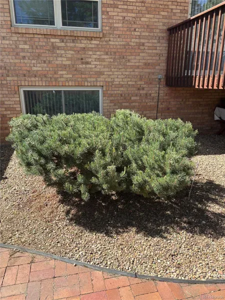 03092026165622 800 23