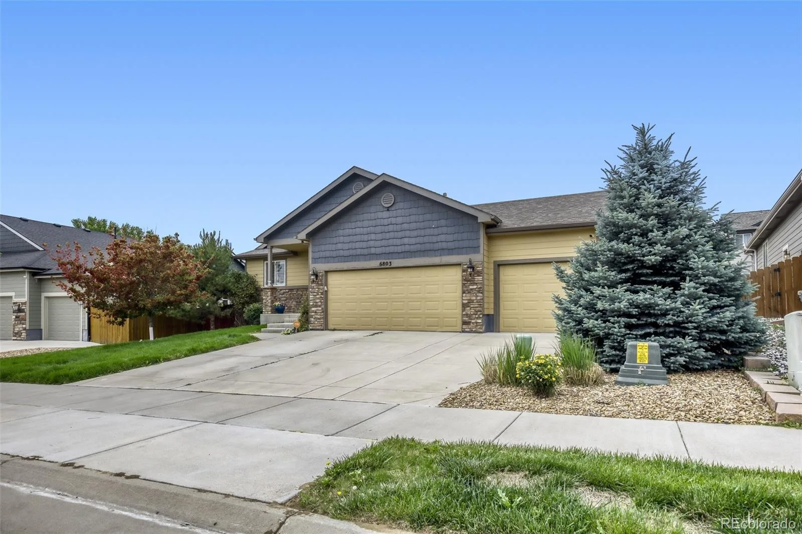 6803 Spruce Street Frederick CO 80530 | MLS #REC6519269 06112026174712 1600 1