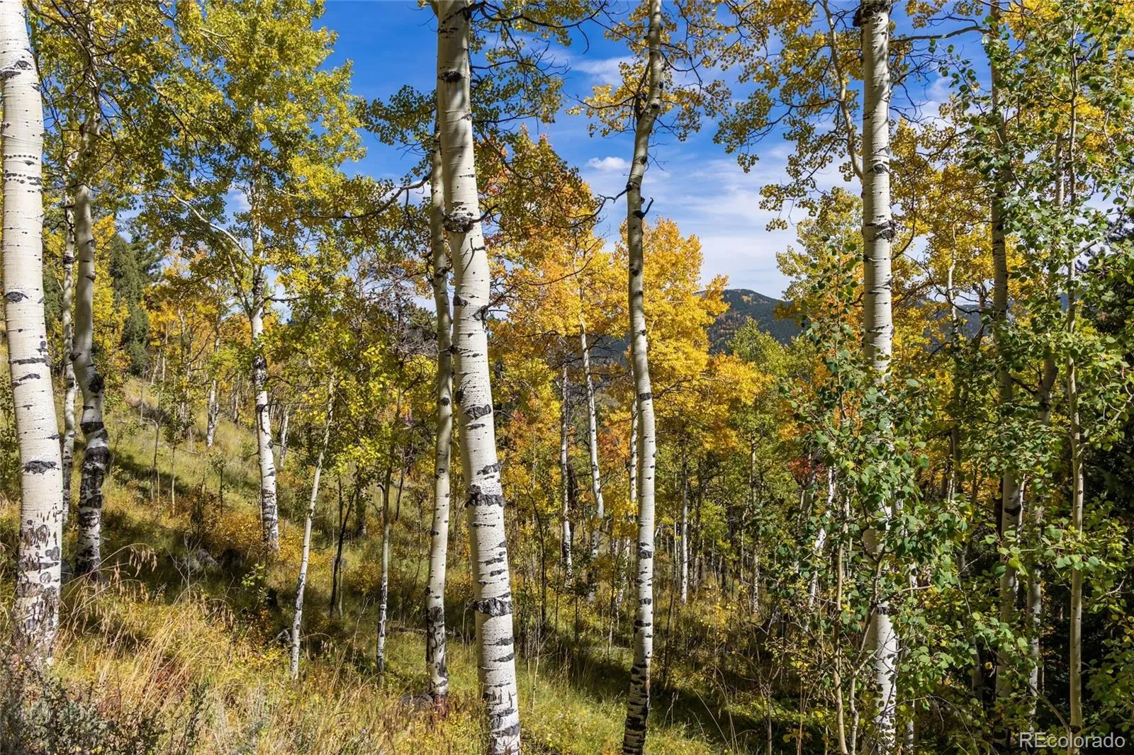 03192026205222 1600 20