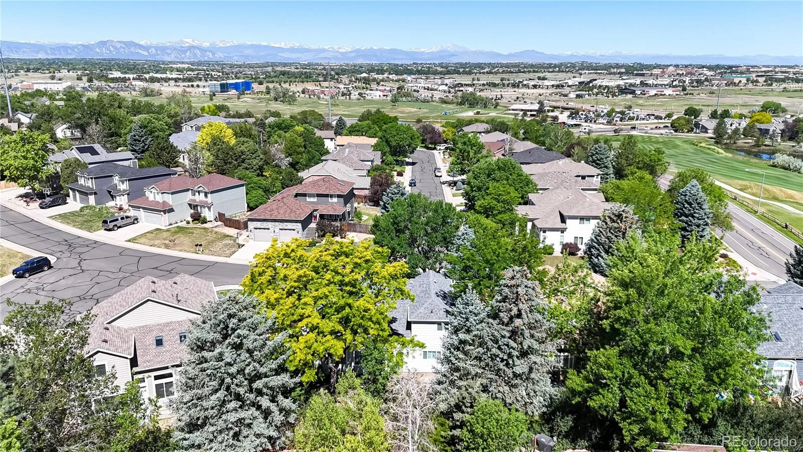 13376 Clarkson Court Thornton CO 80241 MLS #REC6533308 06162026232407 1600 40