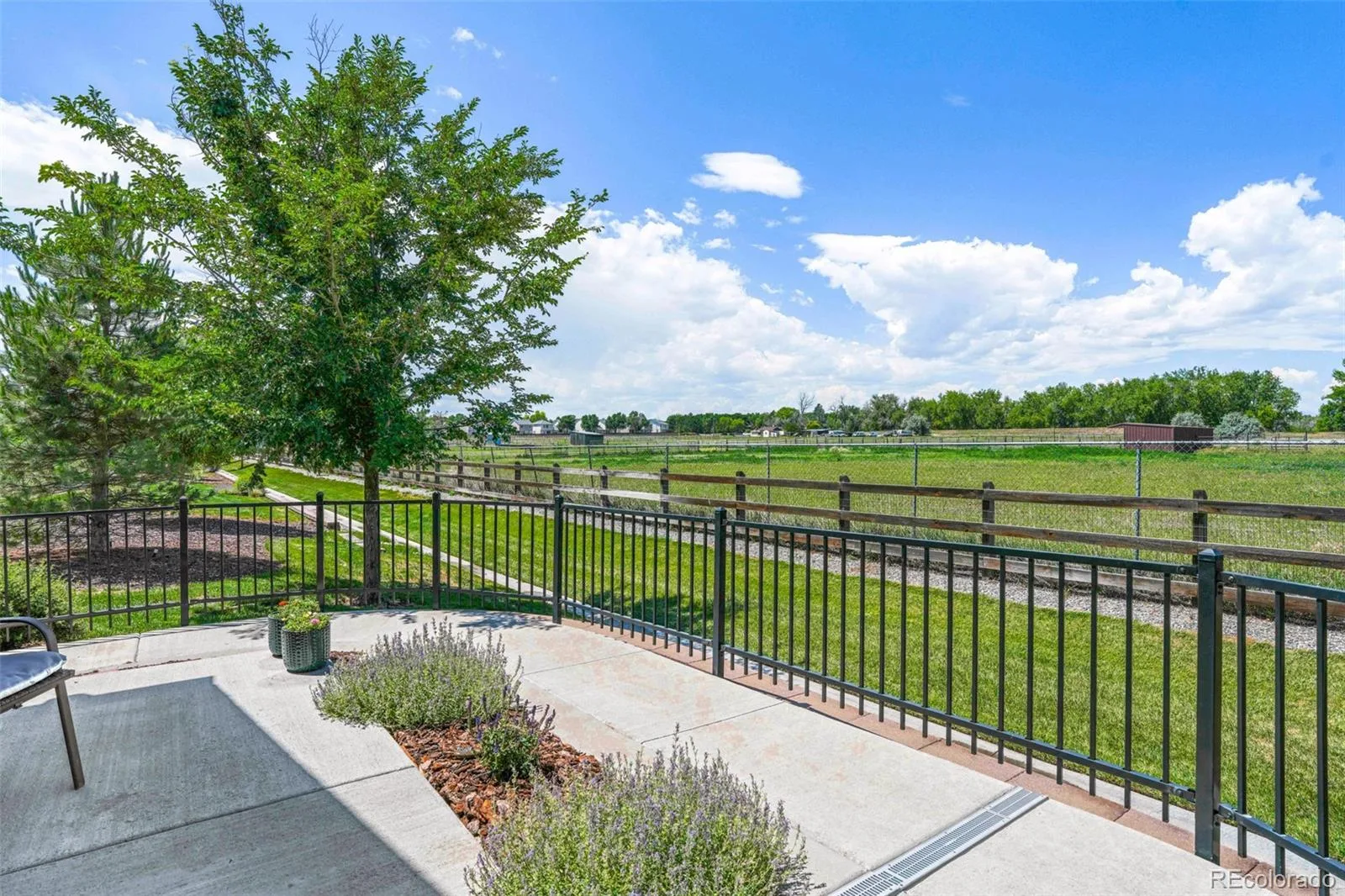 12617 Monroe Drive Thornton CO 80241 | MLS #REC6543989 08182026004533 1600 2
