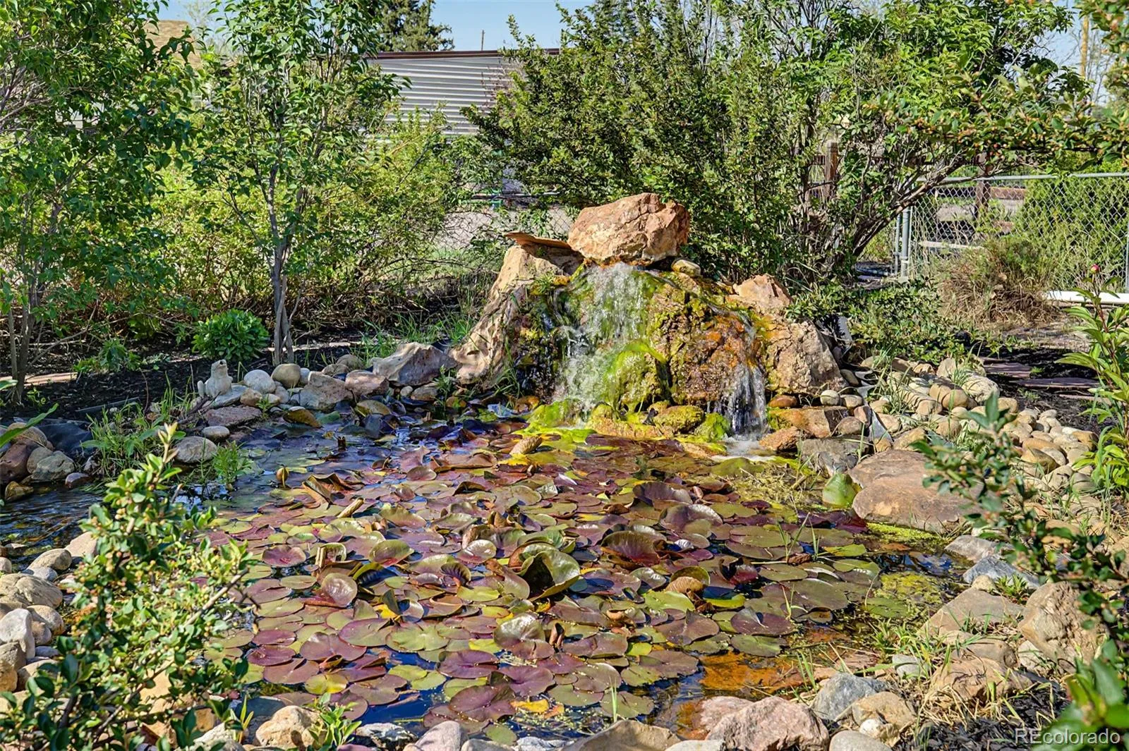 13861 Elmore Road Longmont CO 80504 MLS #REC6559355 05162026041052 1600 36
