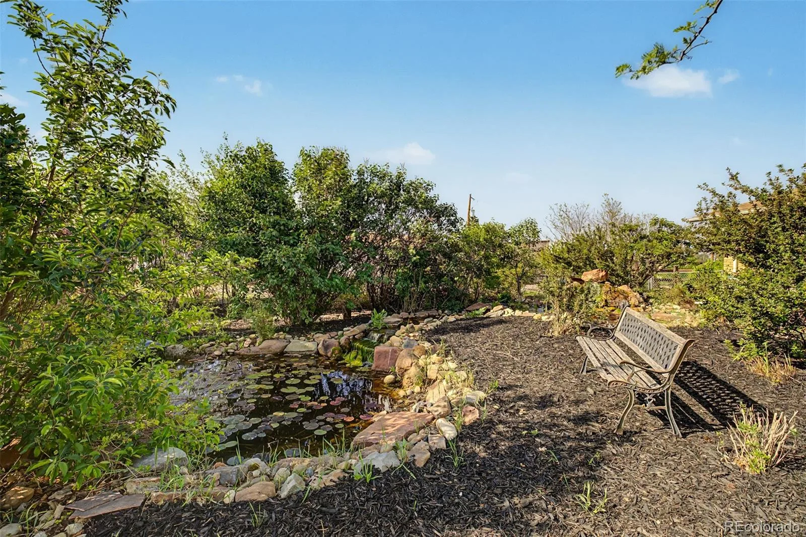 13861 Elmore Road Longmont CO 80504 | MLS #REC6559355 06202026180838 1600 26