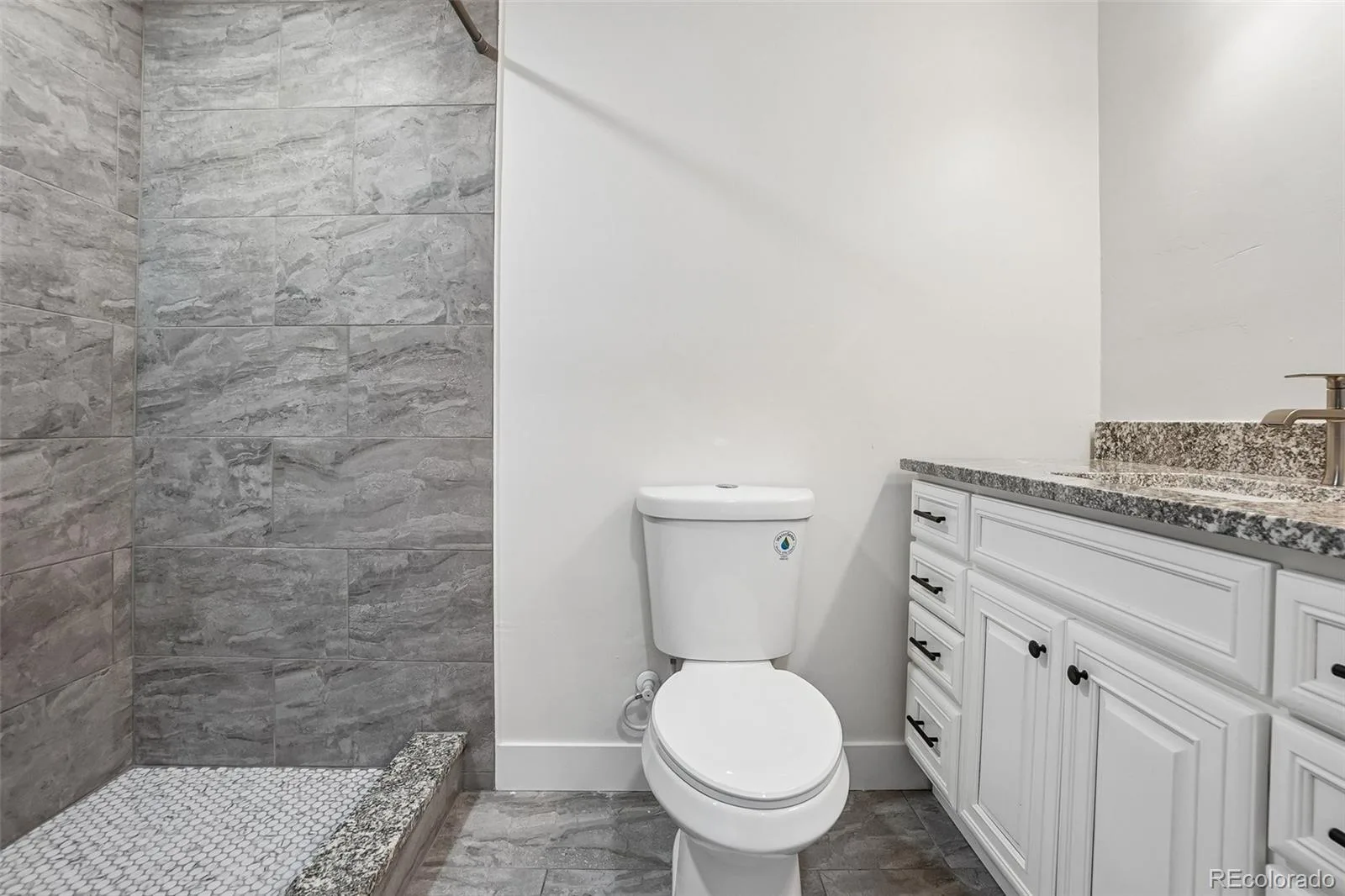 4561 Nepal Street Denver CO 80249 | MLS #REC6559809 08042026211552 1600 17