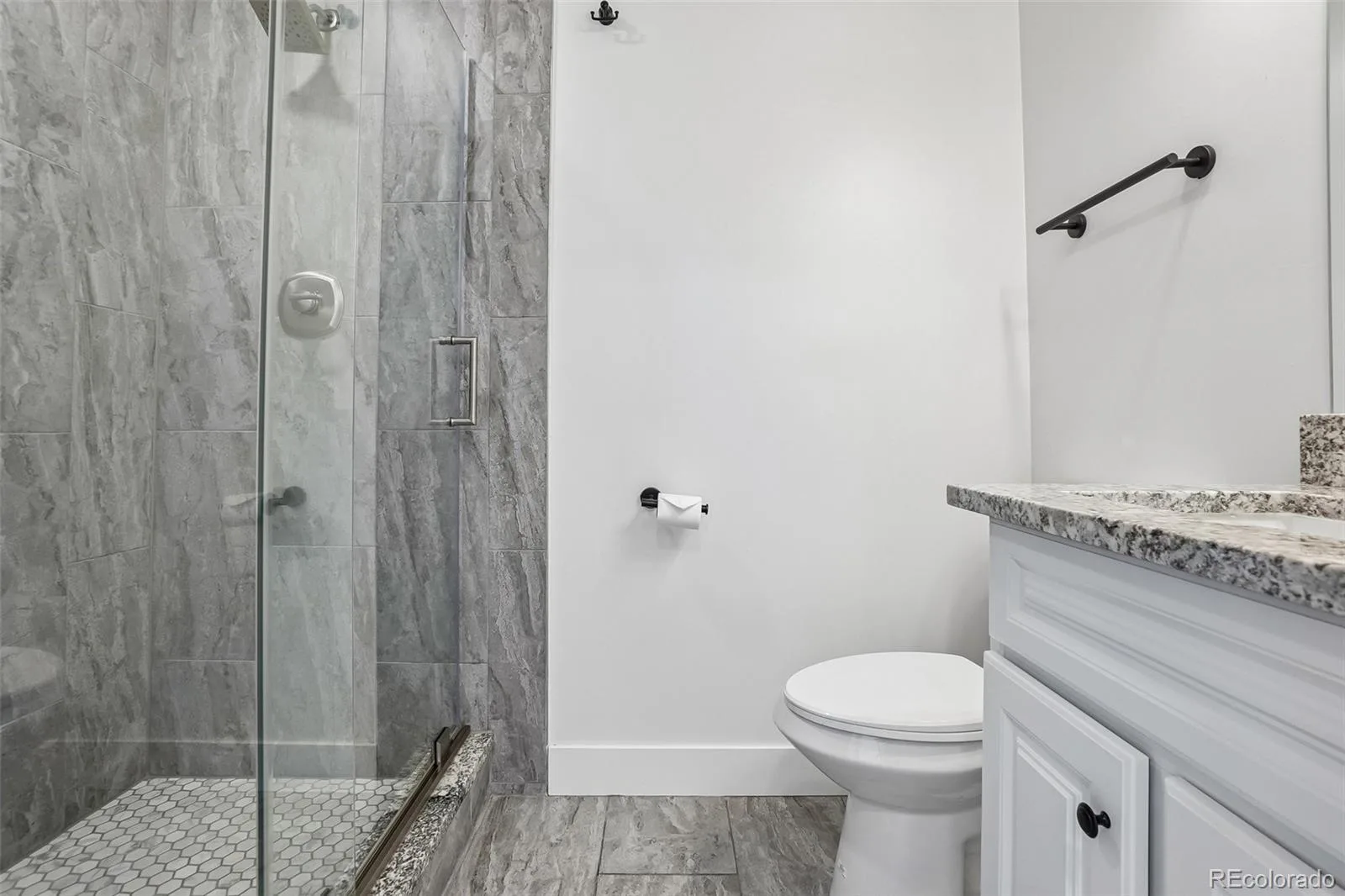 4561 Nepal Street Denver CO 80249 | MLS #REC6559809 08042026211552 1600 30