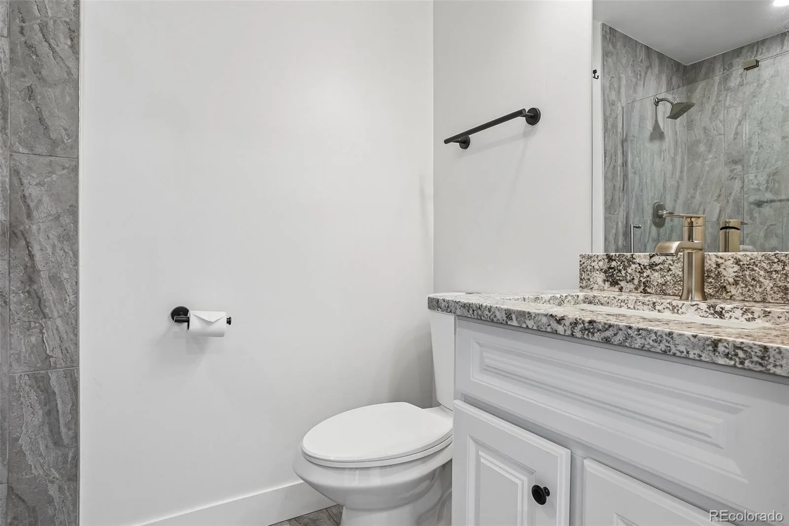 4561 Nepal Street Denver CO 80249 | MLS #REC6559809 08042026211552 1600 31