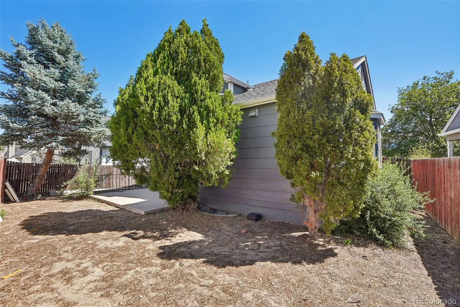4561 Nepal Street Denver CO 80249 | MLS #REC6559809 08042026211552 1600 37