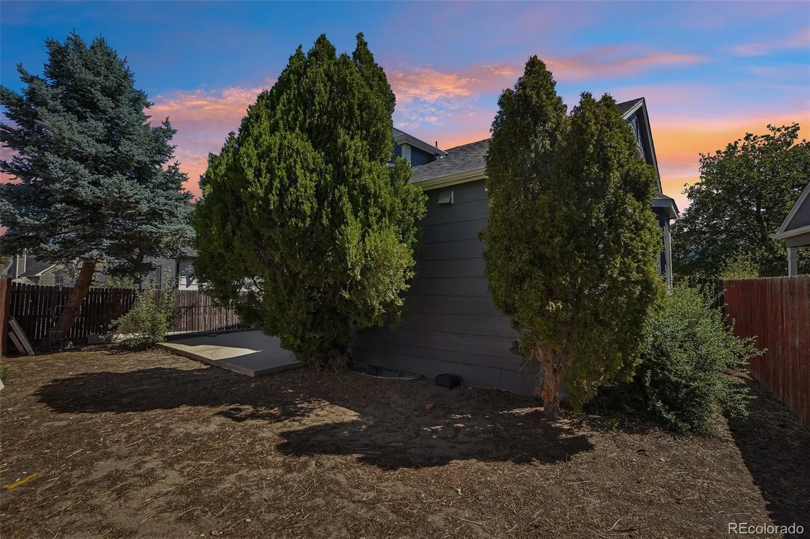 4561 Nepal Street Denver CO 80249 | MLS #REC6559809 08042026211552 1600 39