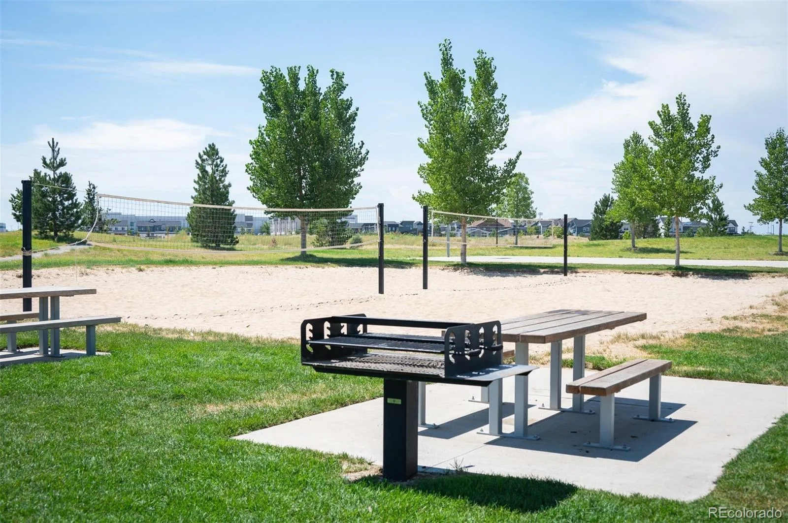 7945 E Prairie Meadow Drive Denver CO 80238 | MLS #REC6571005 08032026193035 1600 45