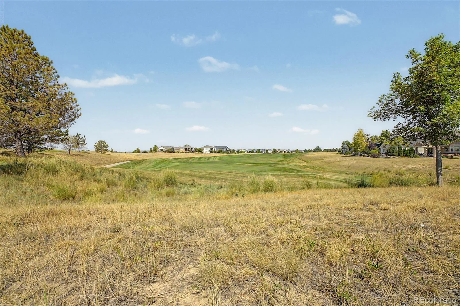 8493 E 149TH Drive Thornton CO 80602 | MLS #REC6575272 08072026151434 1600 28