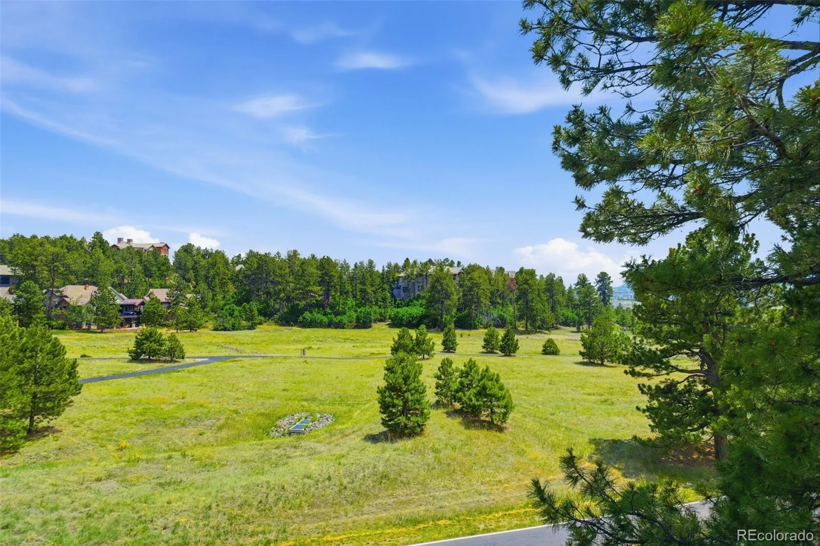 4204 Morning Star Drive Castle Rock CO 80108 MLS #REC6576100 07152026082122 1600 17