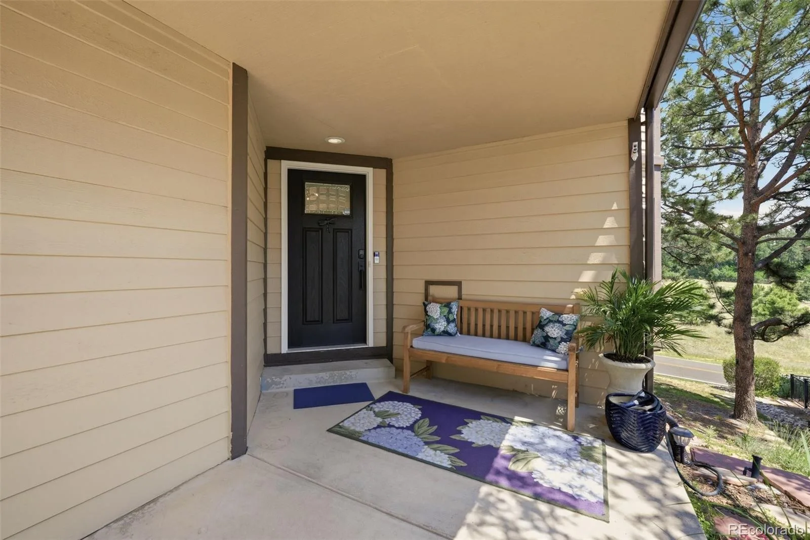 4204 Morning Star Drive Castle Rock CO 80108 MLS #REC6576100 07152026082122 1600 3