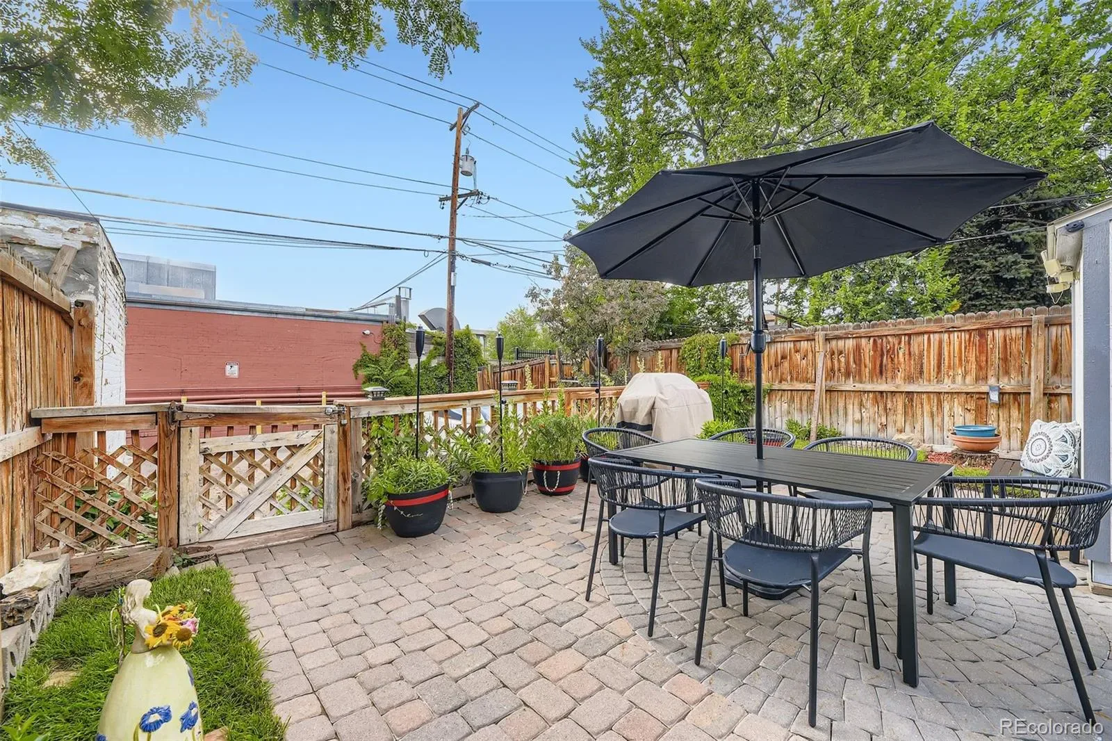 03092026025116 1600 19