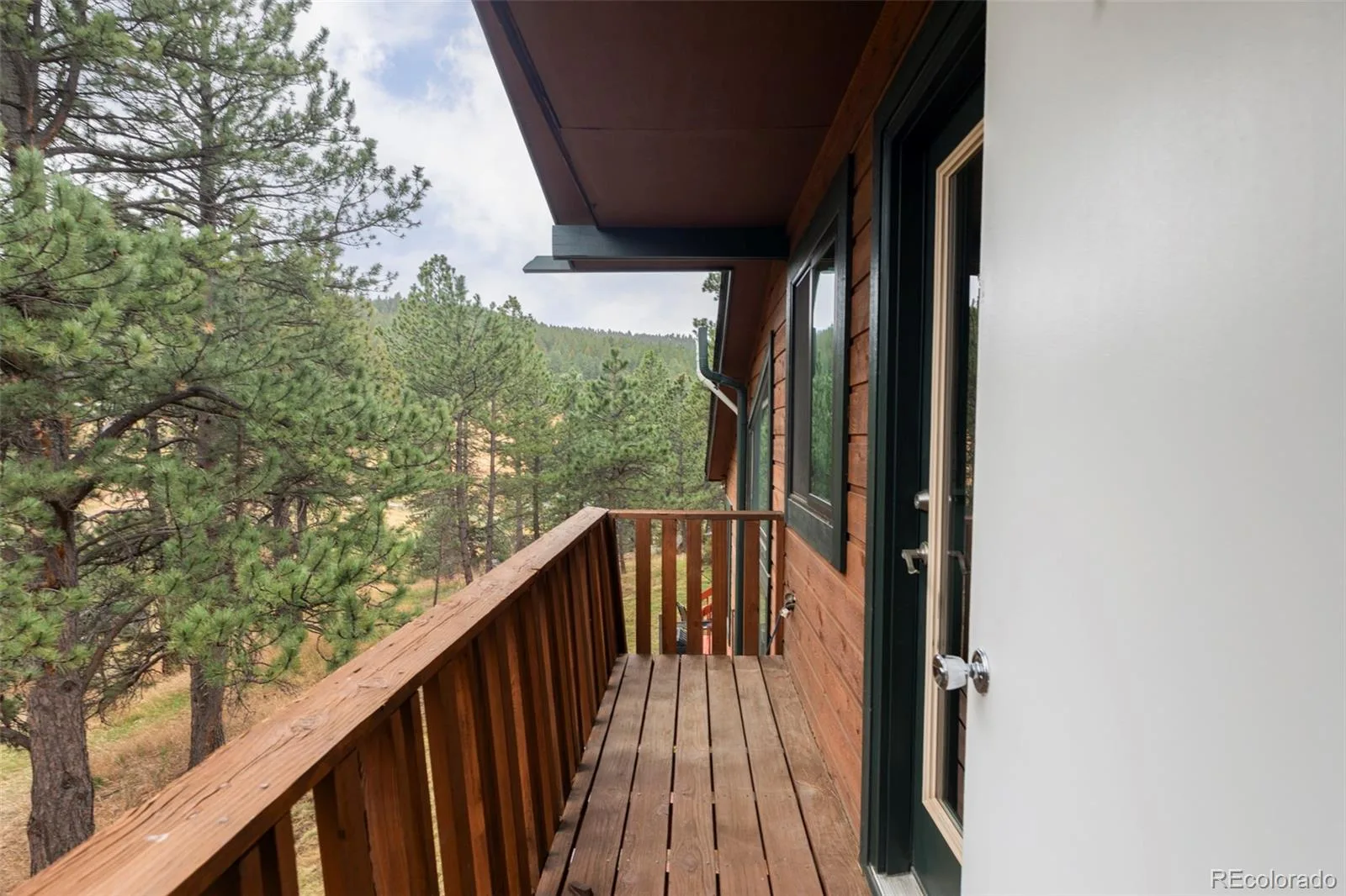 25193 N Turkey Creek Road Evergreen CO 80439 | MLS #REC6584894 06102026204009 1600 28