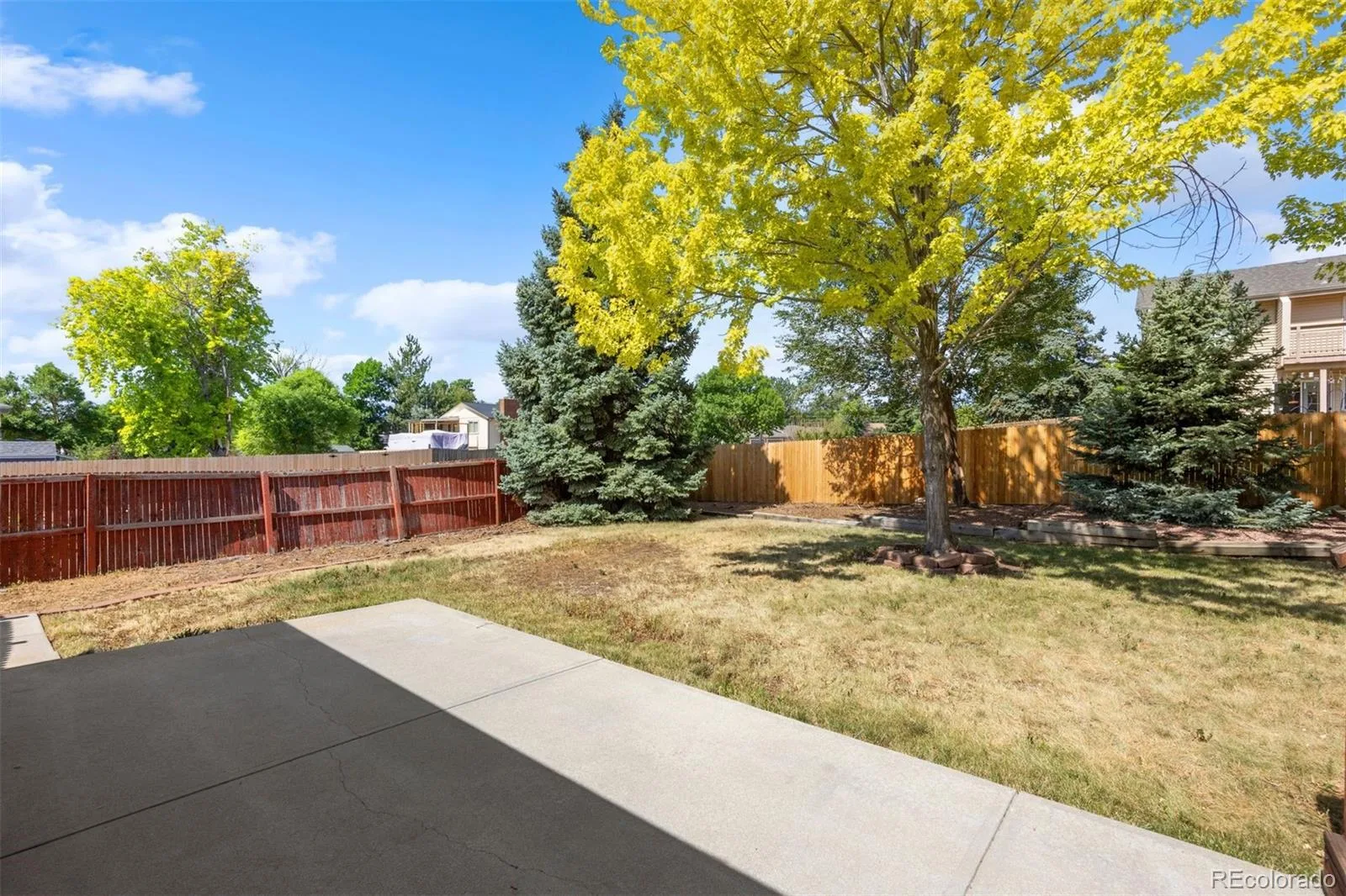 7797 S Marshall Court Littleton CO 80128 | MLS #REC6586106 08262026225230 1600 35
