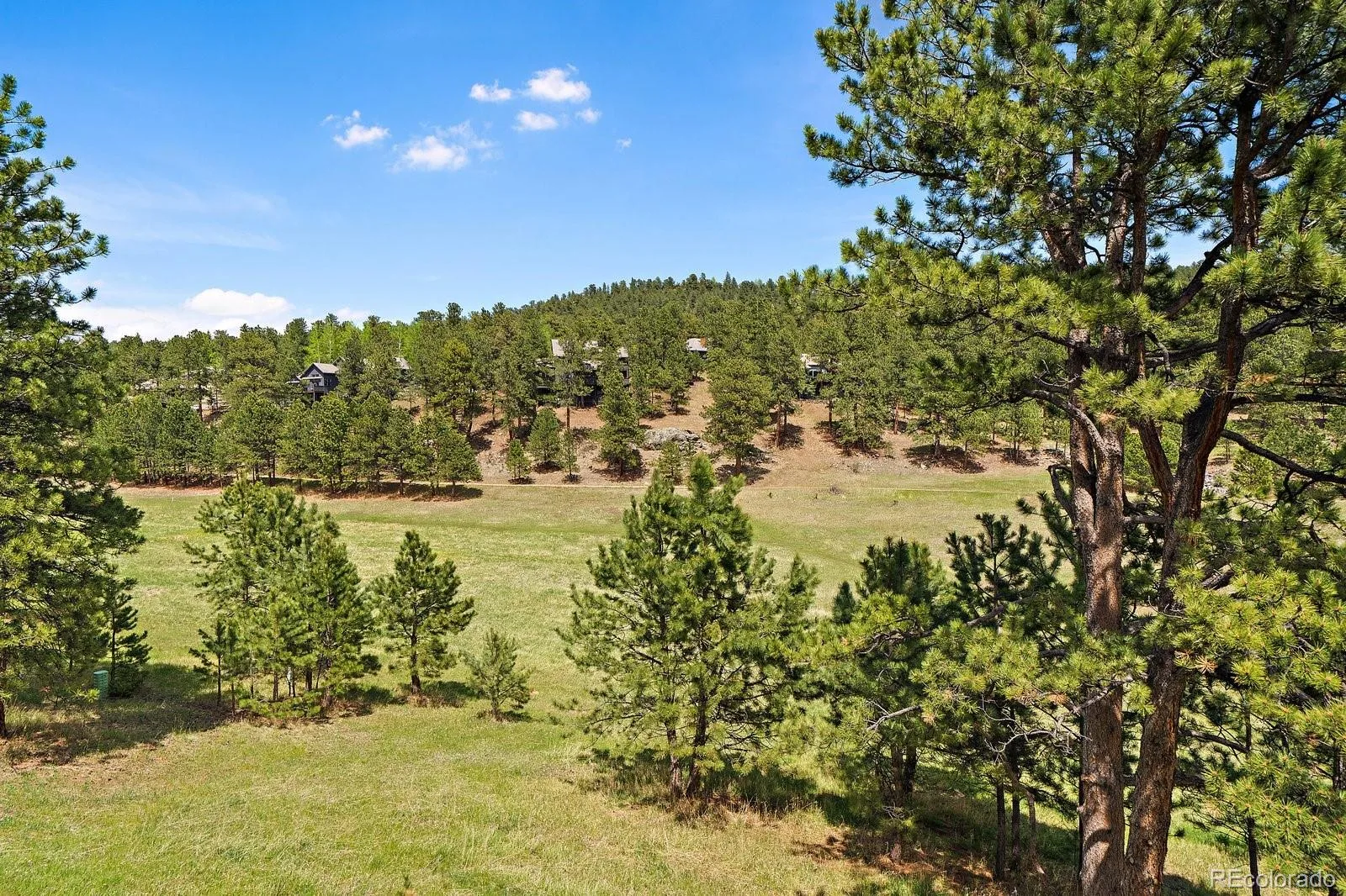 31353 N Bermuda Dunes Drive Evergreen CO 80439 | MLS #REC6590108 08262026131748 1600 36