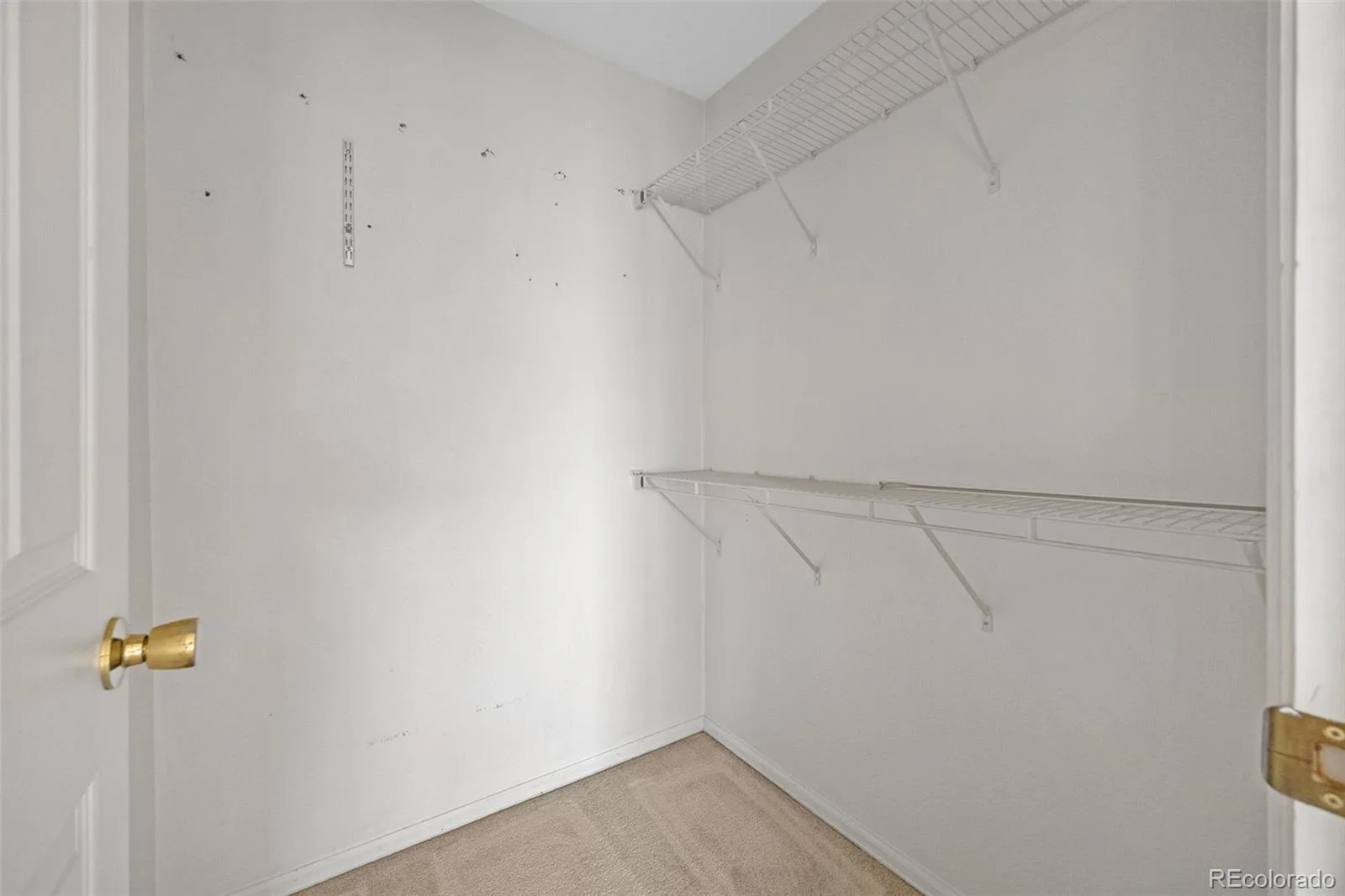 1337 S Danube Court #104 Aurora CO 80017 | MLS #REC6593116 09222026113705 1600 16