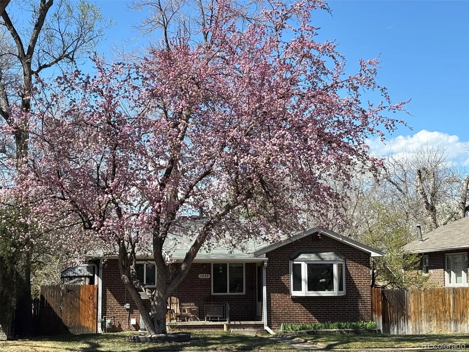 1439 S University Boulevard Denver CO 80210 MLS #REC6597043 05112026231051 1600 44