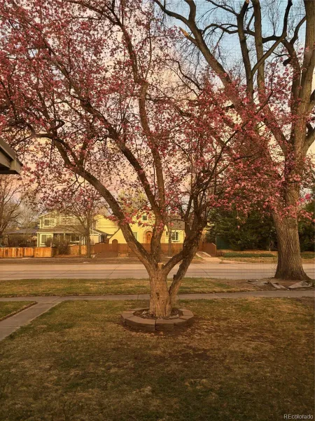 1439 S University Boulevard Denver CO 80210 MLS #REC6597043 05112026231051 800 45