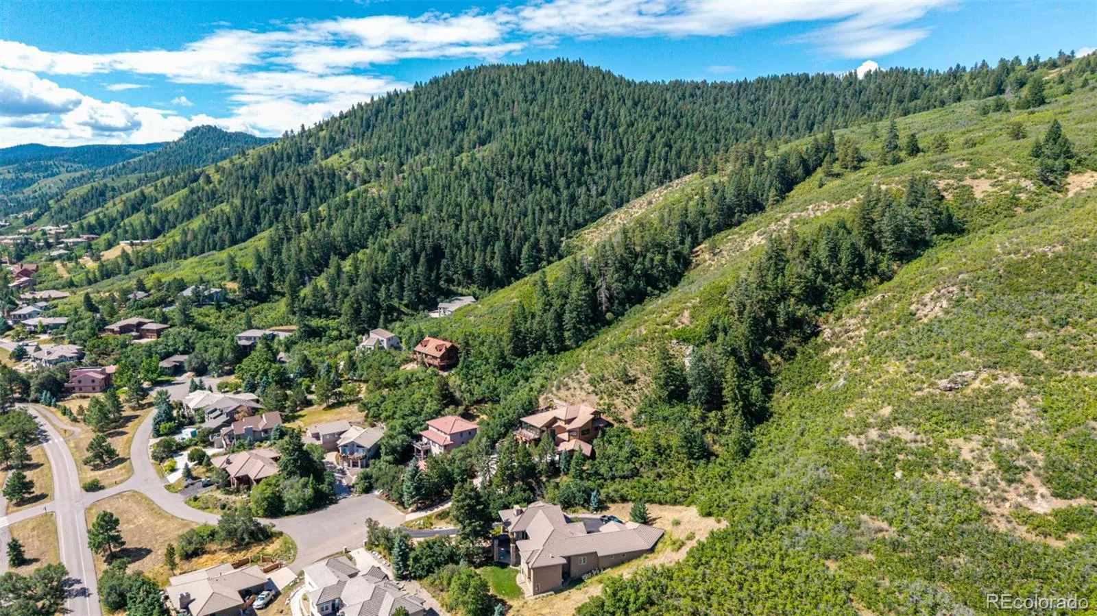 6243 Buffalo Run Littleton CO 80125 | MLS #REC6599453 08232026174600 1600 46