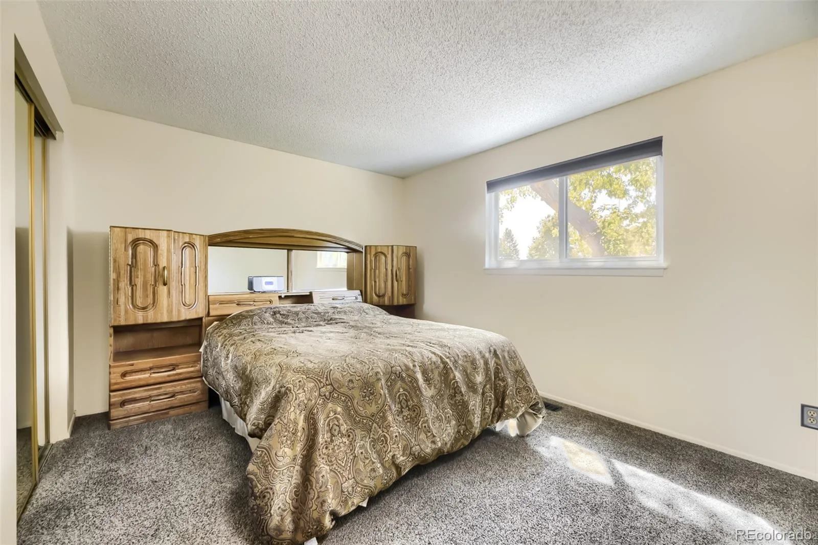 9318 W Lake Drive Littleton CO 80123 | MLS #REC6600924 08252026211856 1600 15