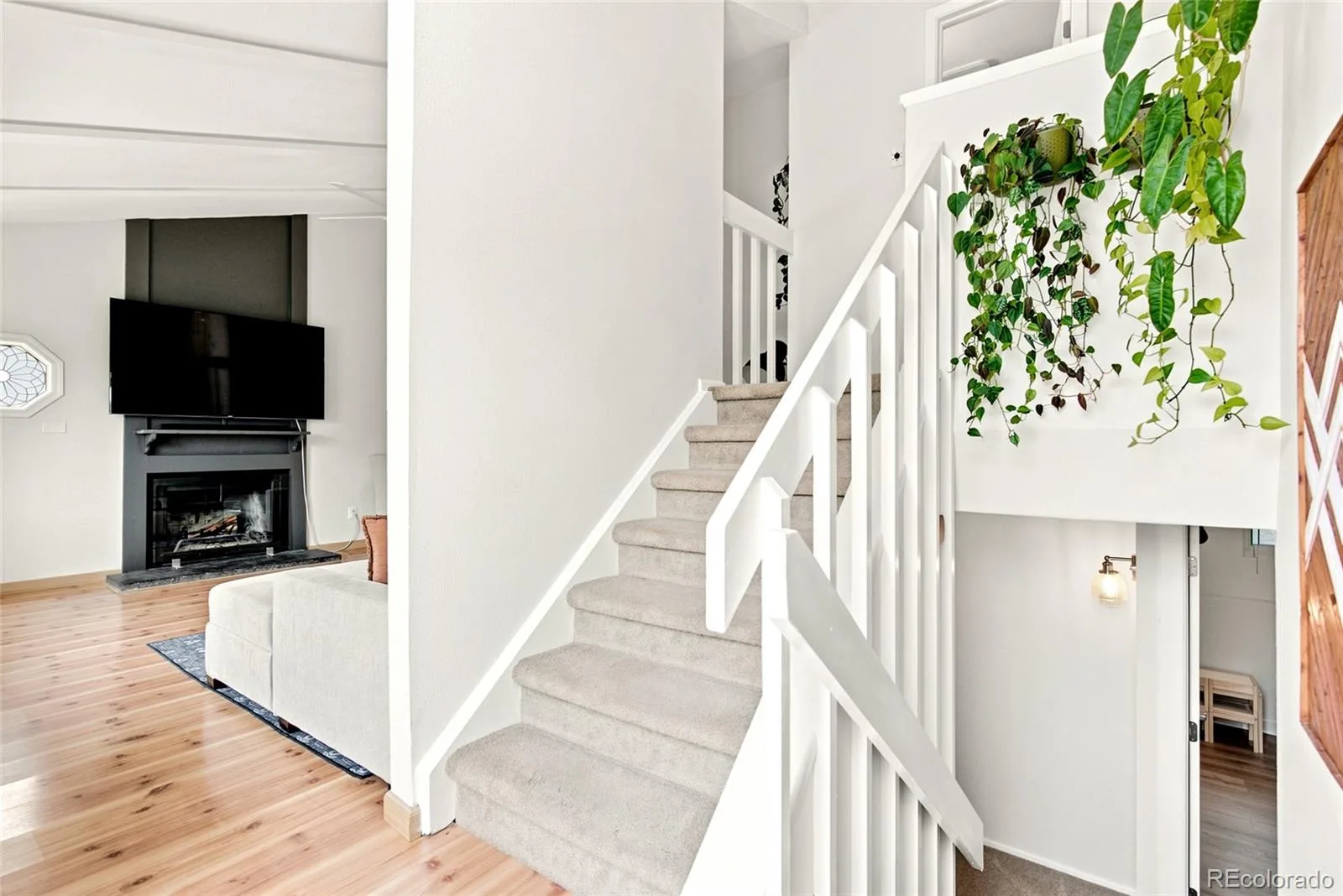 1161 Alter Way Broomfield CO 80020 MLS #REC6604613 07092026181715 1600 17