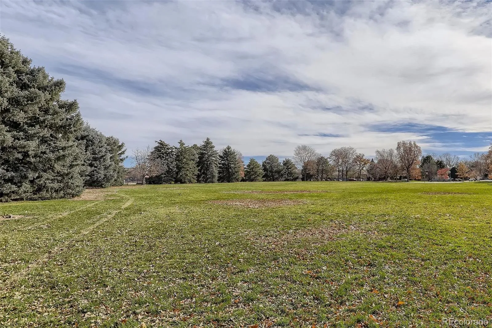 10150 E Virginia Avenue #4-301 Denver CO 80247 MLS #REC6608259 04102026070701 1600 13