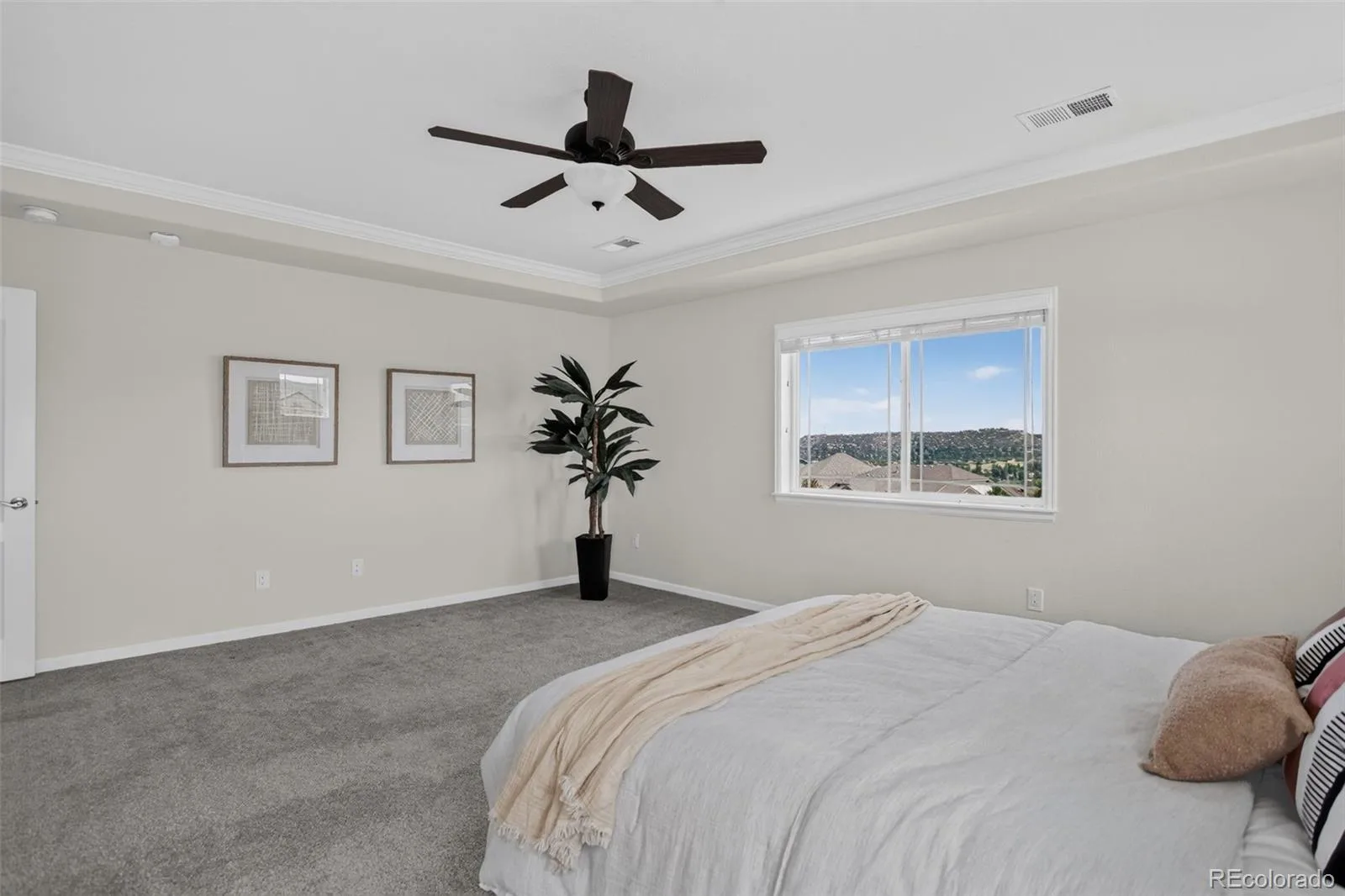 1205 Bonnyton Place Castle Rock CO 80104 | MLS #REC6614983 08152026075329 1600 19