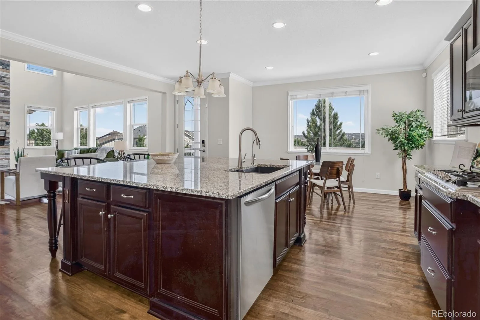 1205 Bonnyton Place Castle Rock CO 80104 | MLS #REC6614983 08152026075329 1600 6