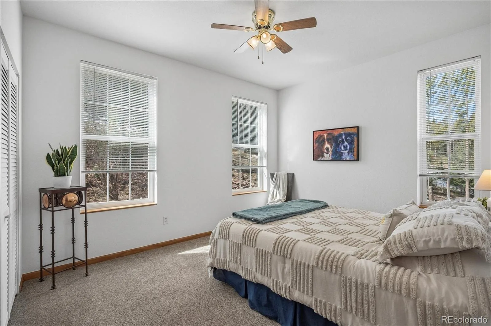 34155 Grouse Lane Evergreen CO 80439 | MLS #REC6622137 08052026154728 1600 17